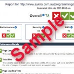 Sample Website Report